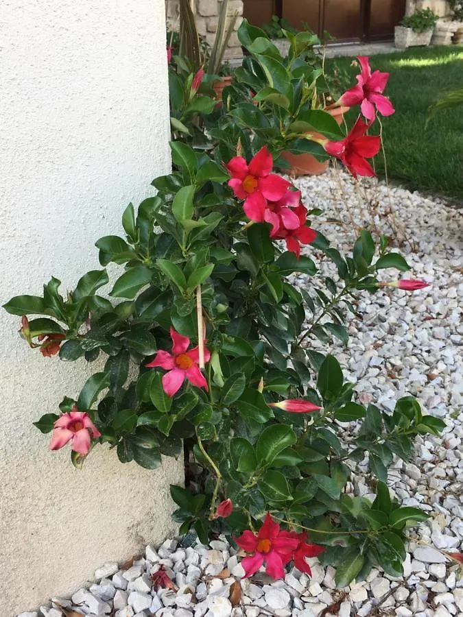 Mas Halcyon Provence Bed & Breakfast Avignon